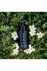 Plum Beauty Oil - thumbnail 6