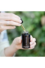 Plum Beauty Oil - thumbnail 7