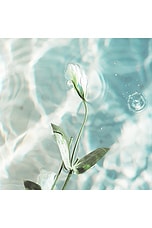 Sel Ocean Hair & Body Perfume Mist - thumbnail 7