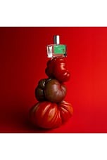 X Jon & Vinny's Tomate Bb Eau De Parfum - thumbnail 6