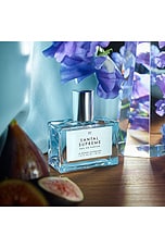 Santal Supreme Eau De Parfum - thumbnail 10