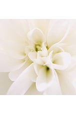 000 Eau De Parfum - thumbnail 9