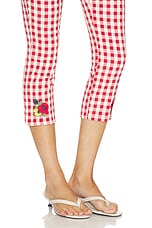 Kristin Pant - thumbnail 9