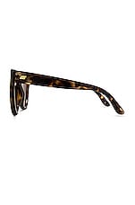Liar Liar Sunglasses - thumbnail 6