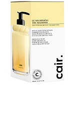 The Shampoo - thumbnail 5