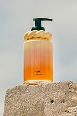 The Shampoo - thumbnail 7