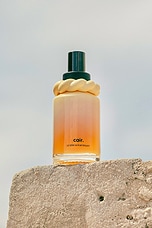 The Fortifying Scalp Serum - thumbnail 8