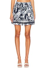 Limited Edition Makenzie Mini Skirt
