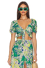 Allie Crop Top