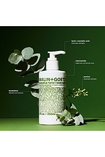 Eucalyptus Hand + Body Scrub - thumbnail 6