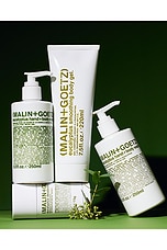 Eucalyptus Hand + Body Scrub - thumbnail 7