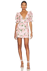 Chrishelle Mini Dress - thumbnail 4