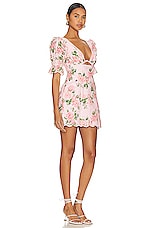 Chrishelle Mini Dress - thumbnail 5