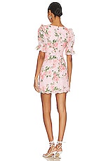 Chrishelle Mini Dress - thumbnail 6