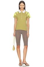 Lou Polo - thumbnail 7