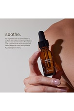 Soothe Calming Ingrown Hair Oil - thumbnail 8
