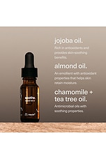 Soothe Calming Ingrown Hair Oil - thumbnail 9