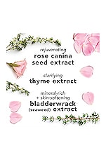 Facial Spray in Aloe, Herbs & Rosewater - thumbnail 7