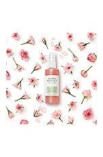 Facial Spray in Aloe, Herbs & Rosewater - thumbnail 8