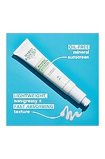 Mineral Sunscreen - thumbnail 7