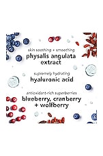 Mineral Sunscreen - thumbnail 8