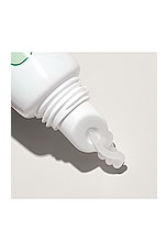 Lip Balm - thumbnail 6