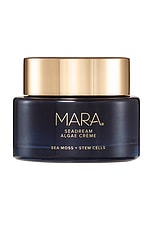 Sea Moss + Stem Cells Seadream Firming Algae Creme