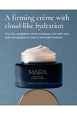SeaDream Algae Creme Moisturizer for Firming & Tightening - thumbnail 5