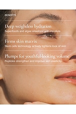 SeaDream Algae Creme Moisturizer for Firming & Tightening - thumbnail 6