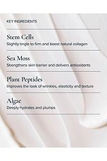 SeaDream Algae Creme Moisturizer for Firming & Tightening - thumbnail 7