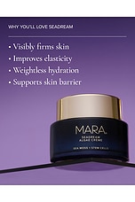 SeaDream Algae Creme Moisturizer for Firming & Tightening - thumbnail 8