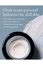 SeaDream Algae Creme Moisturizer for Firming & Tightening - thumbnail 10