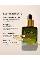 Mini Universal Hydrating Face Oil - thumbnail 6