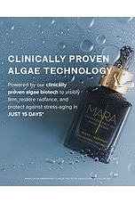 Mini Universal Hydrating Face Oil - thumbnail 7