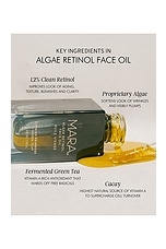 Evening Primrose + Green Tea Algae Retinol Face Oil 15ml - thumbnail 5
