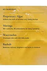 Universal Hydrating Face Oil - thumbnail 8