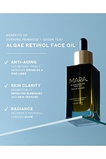 Evening Primrose + Green Tea Algae Retinol Face Oil - thumbnail 5