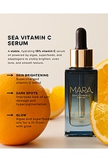 Chlorella + Reishi Sea Vitamin C Serum - thumbnail 5