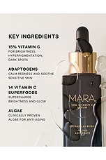 Chlorella + Reishi Sea Vitamin C Serum - thumbnail 9
