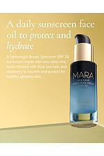 Algae + Zinc Sea Kale Sunscreen Serum - thumbnail 6