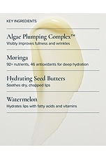 Hydrating Sea Silk Lip Balm Treatment - thumbnail 6