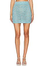 Mesh Mini Skirt