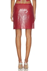 Amber Skirt - thumbnail 8