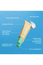 Save Face Serum SPF 50 - thumbnail 6