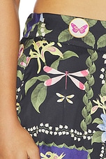 Izzie Pant - thumbnail 9