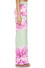 Izzie Pant - thumbnail 6