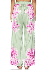 Izzie Pant - thumbnail 7