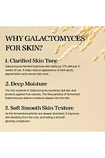 Galactomyces Ferment Essence - thumbnail 9