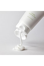 Centella Cleansing Foam - thumbnail 6