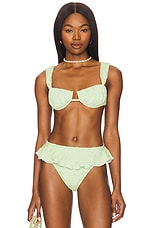 Tamarindo Ruffle Bikini Bottom